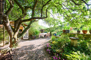 Garden- click for photo gallery